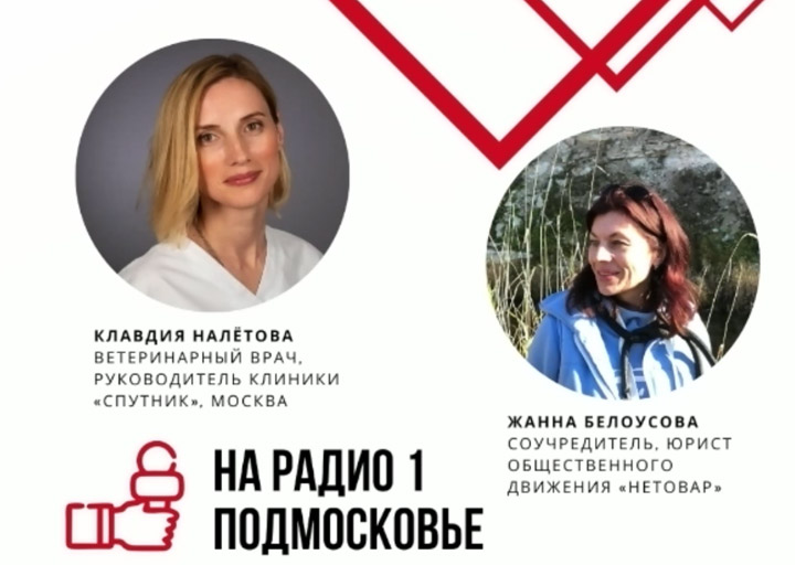 О продаже животных в магазинах